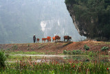 Tam Coc (Mar 07)