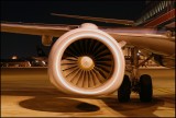 American Airlines Boeing 737-800 (N951AA) Engine Cowling