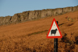 Stanage and sheep sign, no tigers here!