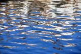 Pool reflections