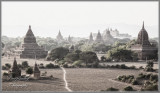 Bagan Vista at Dusk