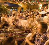 Resort Fiesta
