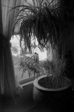 une autre vitrine