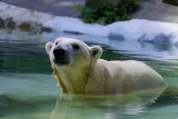 staying cool