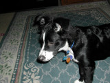 August2006 194.jpg