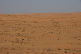 Wahiba Sands19.JPG