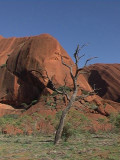 Lanscape around base of Ayers Rock