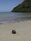 Ive got a lovely coconut....