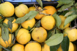In Sorrento its all about the Lemons!
