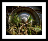 wheel at rest