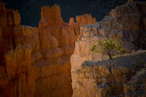 Zion National Park & Bryce Canyon - Photo Workshop