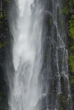 N1391 Akaka Falls