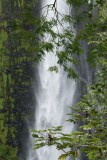 N1381 Akaka Falls