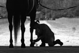 Hooves