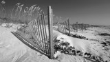 Erosion Control