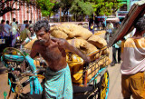 Tricycle-man, hard Labour.