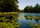 Kodai Lake