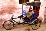 A rickshaw dream in rose