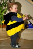 Bumblebee-Cutie