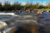 Grizedale Brook