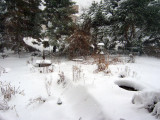 Snow 12-31-06