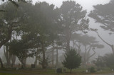 Pacific Grove Cemetary 03