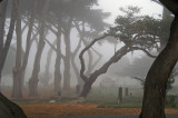 Pacific Grove Cemetary 06