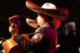 Mariachi Vargas de Tecalitln-04.jpg