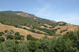 Mt. Diablo-014.jpg