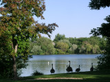 View of the Boise River from Brians patio