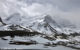 P6919-Icefields Parkway.jpg