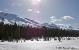 P7233-Icefields Parkway.jpg