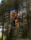 P7649-enchanted forest.jpg