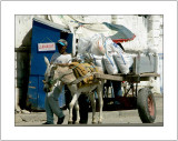 Donkey Cart