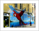 The Bird
