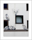 Bird House