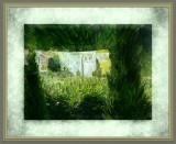 Clothes in the Sun