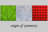 Origin of symmetry