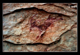 La cova del Polvorí. Art rupestre llevantí
