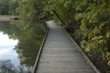 Wooden Walkway Morning