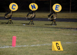 Friday Night Football