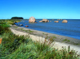 Glacial Erratics on the Gulf of Finland, Estonia