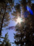 Lahamea National Park, Estonia