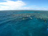 On the Great Barrier Reef at Cairns