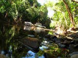 Emmagen Creek, in the Daintree Forest