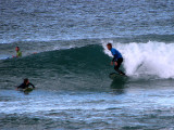 Surfing at Bondi Beach