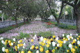 City Garden -- New York, NY, USA