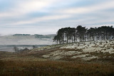 Cumbria