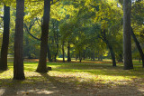 Margaret Island