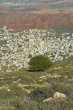 20061124-09.jpg